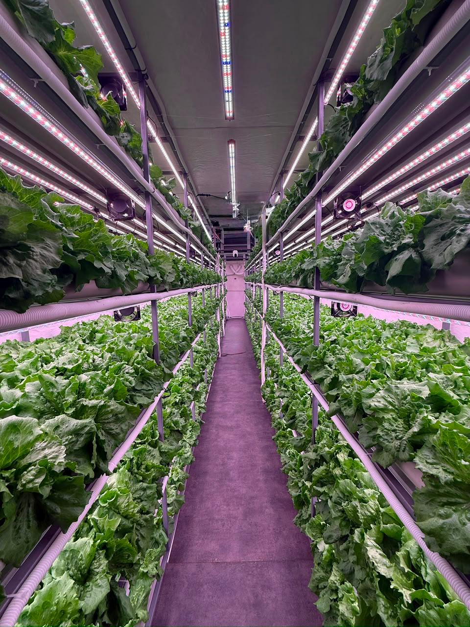 Climate-controlled grow aisle with LED lighting and circulation fans