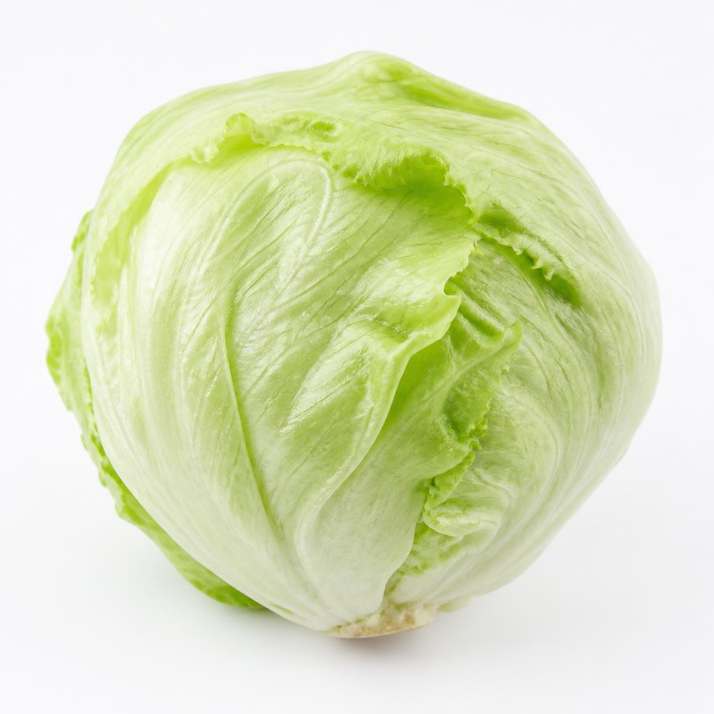 Iceberg Lettuce grown hydroponically by Viverda