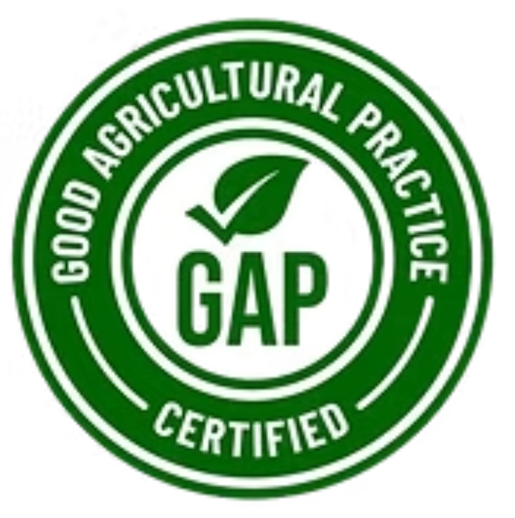 Good Agricultural Practice (G.A.P.) certified seal